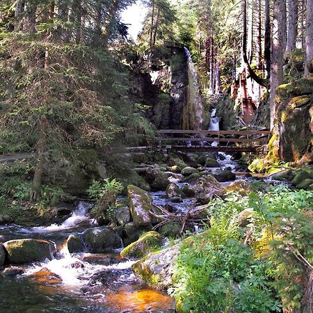 C4 Albmatte-Fewo Sauna, Hallenbad Aussenbecken Massagen Nebenan Menzenschwand Bagian luar foto