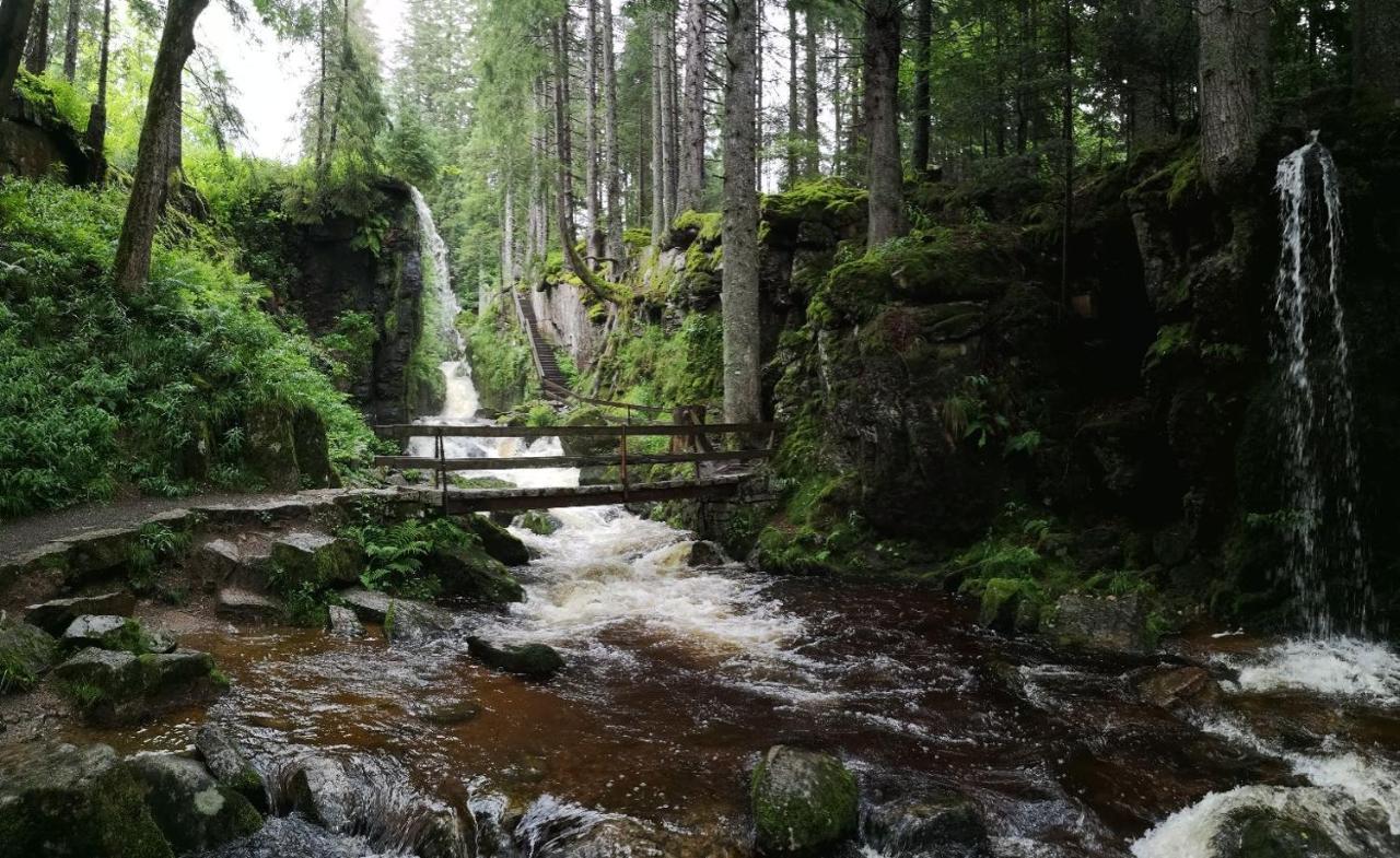 C4 Albmatte-Fewo Sauna, Hallenbad Aussenbecken Massagen Nebenan Menzenschwand Bagian luar foto