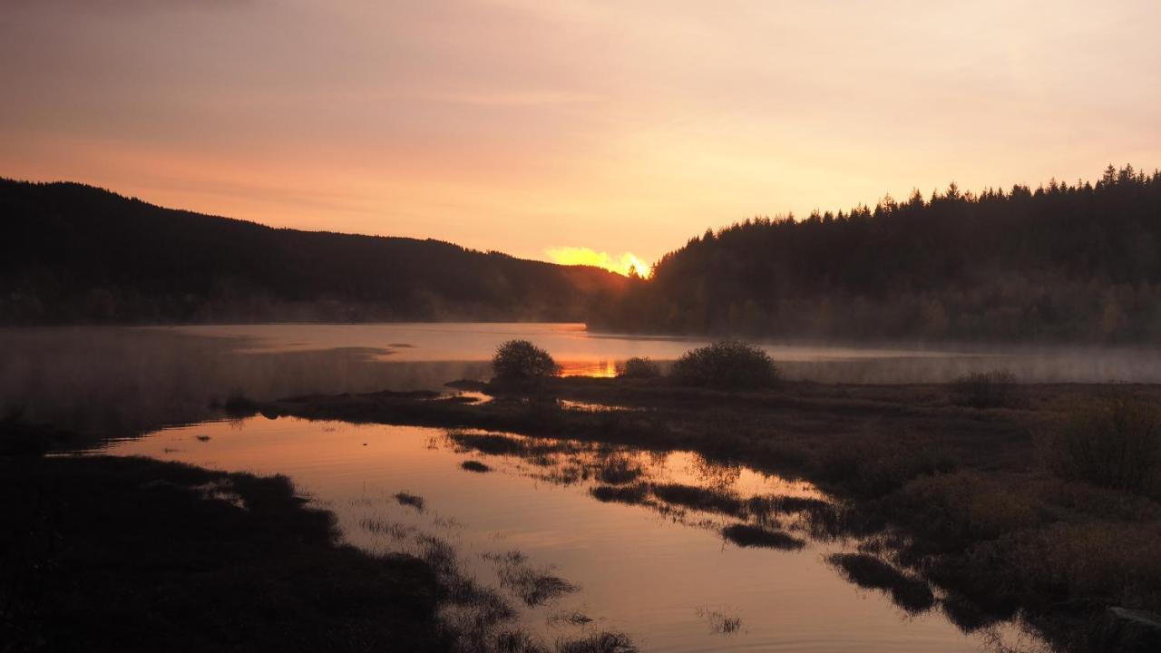 C4 Albmatte-Fewo Sauna, Hallenbad Aussenbecken Massagen Nebenan Menzenschwand Bagian luar foto