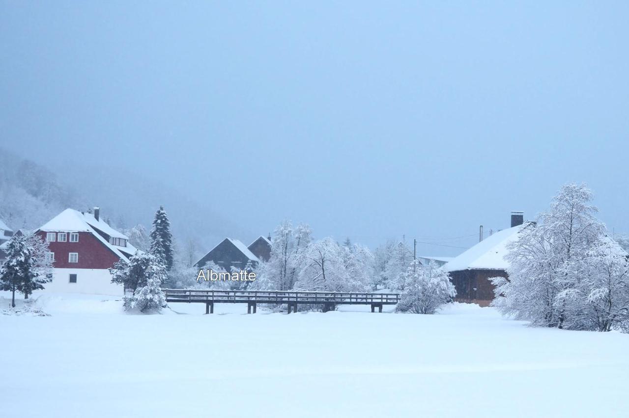 C4 Albmatte-Fewo Sauna, Hallenbad Aussenbecken Massagen Nebenan Menzenschwand Bagian luar foto