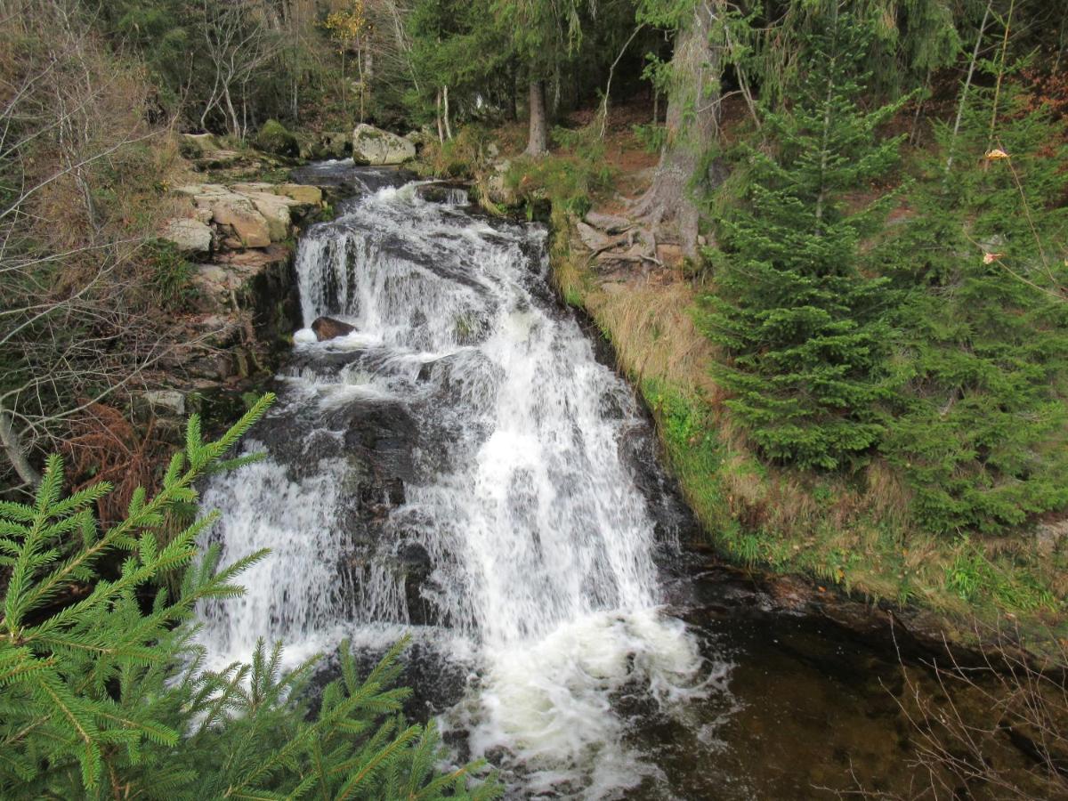 C4 Albmatte-Fewo Sauna, Hallenbad Aussenbecken Massagen Nebenan Menzenschwand Bagian luar foto