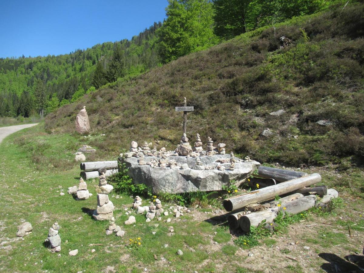 C4 Albmatte-Fewo Sauna, Hallenbad Aussenbecken Massagen Nebenan Menzenschwand Bagian luar foto