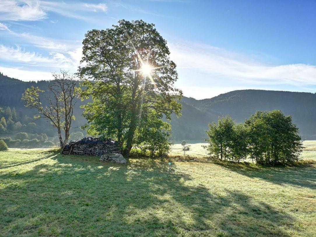 C4 Albmatte-Fewo Sauna, Hallenbad Aussenbecken Massagen Nebenan Menzenschwand Bagian luar foto