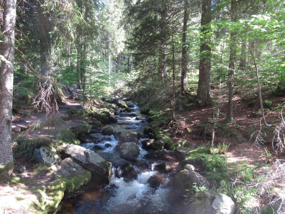 C4 Albmatte-Fewo Sauna, Hallenbad Aussenbecken Massagen Nebenan Menzenschwand Bagian luar foto