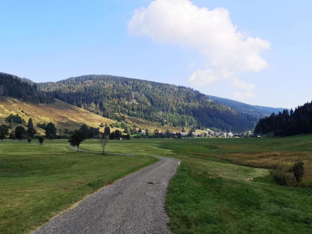 C4 Albmatte-Fewo Sauna, Hallenbad Aussenbecken Massagen Nebenan Menzenschwand Bagian luar foto