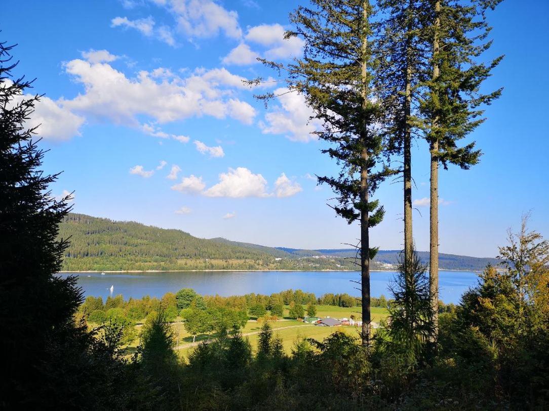 C4 Albmatte-Fewo Sauna, Hallenbad Aussenbecken Massagen Nebenan Menzenschwand Bagian luar foto