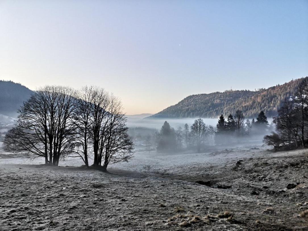 C4 Albmatte-Fewo Sauna, Hallenbad Aussenbecken Massagen Nebenan Menzenschwand Bagian luar foto