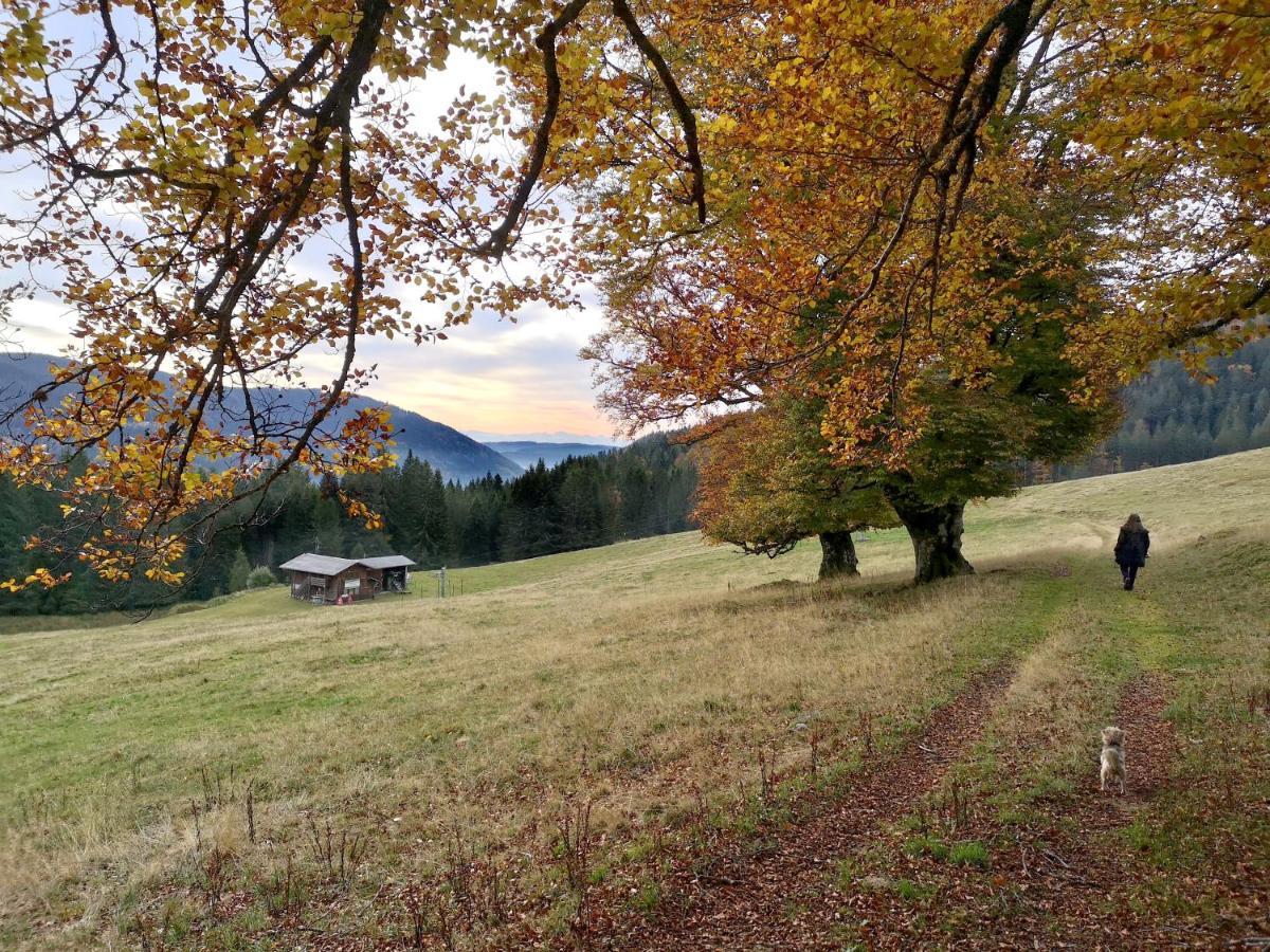 C4 Albmatte-Fewo Sauna, Hallenbad Aussenbecken Massagen Nebenan Menzenschwand Bagian luar foto