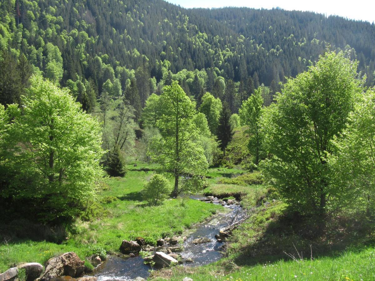 C4 Albmatte-Fewo Sauna, Hallenbad Aussenbecken Massagen Nebenan Menzenschwand Bagian luar foto