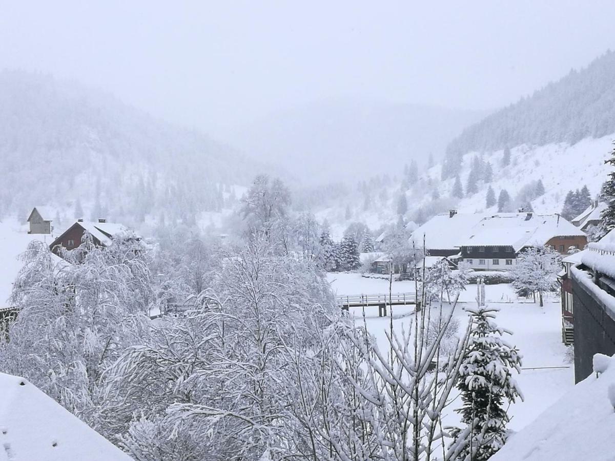 C4 Albmatte-Fewo Sauna, Hallenbad Aussenbecken Massagen Nebenan Menzenschwand Bagian luar foto