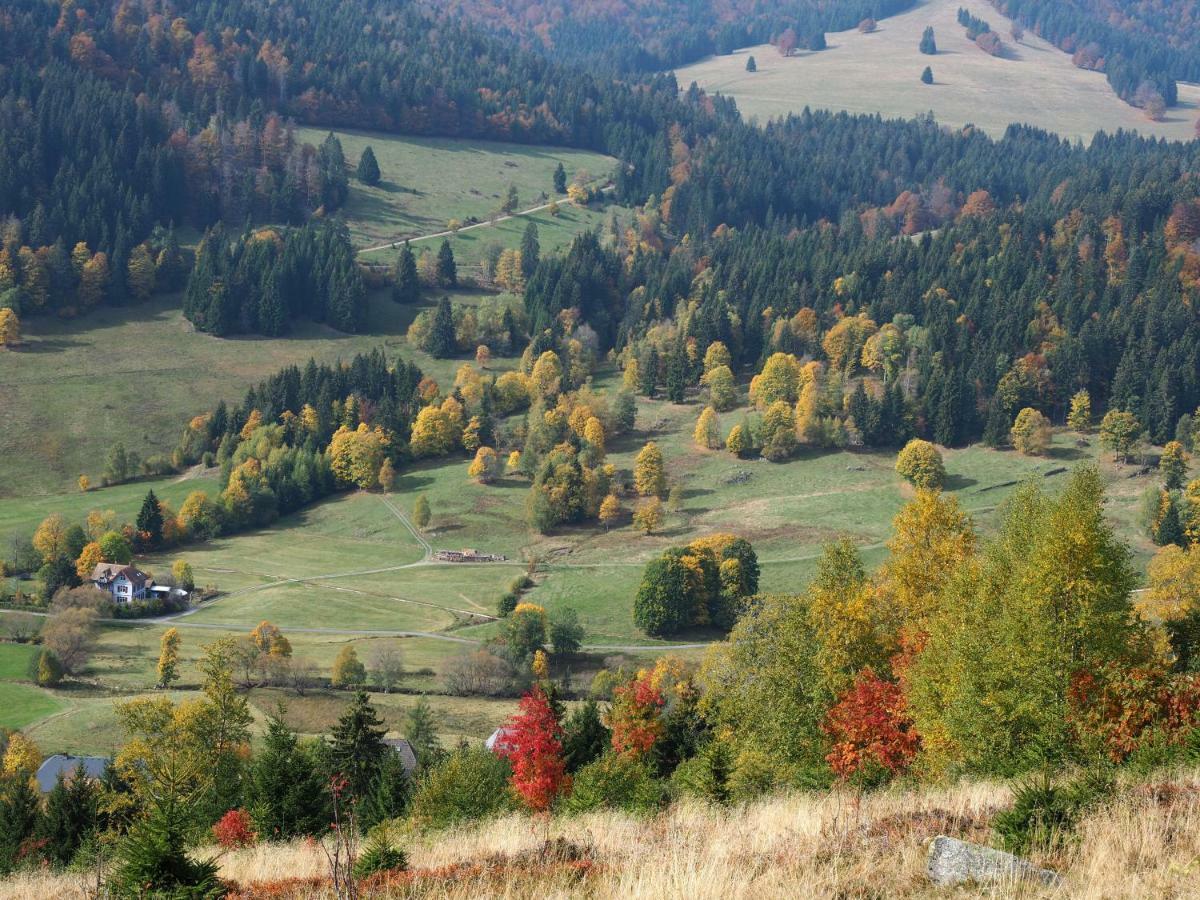 C4 Albmatte-Fewo Sauna, Hallenbad Aussenbecken Massagen Nebenan Menzenschwand Bagian luar foto