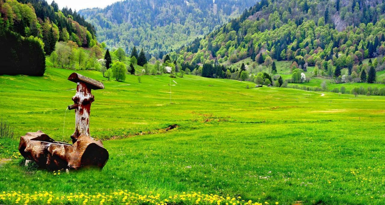 C4 Albmatte-Fewo Sauna, Hallenbad Aussenbecken Massagen Nebenan Menzenschwand Bagian luar foto