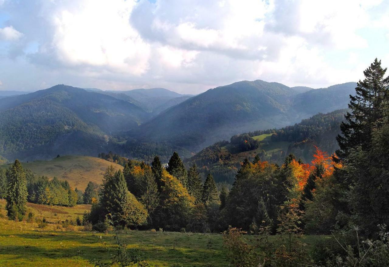 C4 Albmatte-Fewo Sauna, Hallenbad Aussenbecken Massagen Nebenan Menzenschwand Bagian luar foto
