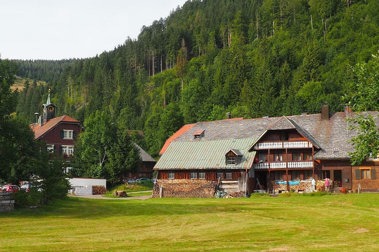C4 Albmatte-Fewo Sauna, Hallenbad Aussenbecken Massagen Nebenan Menzenschwand Bagian luar foto