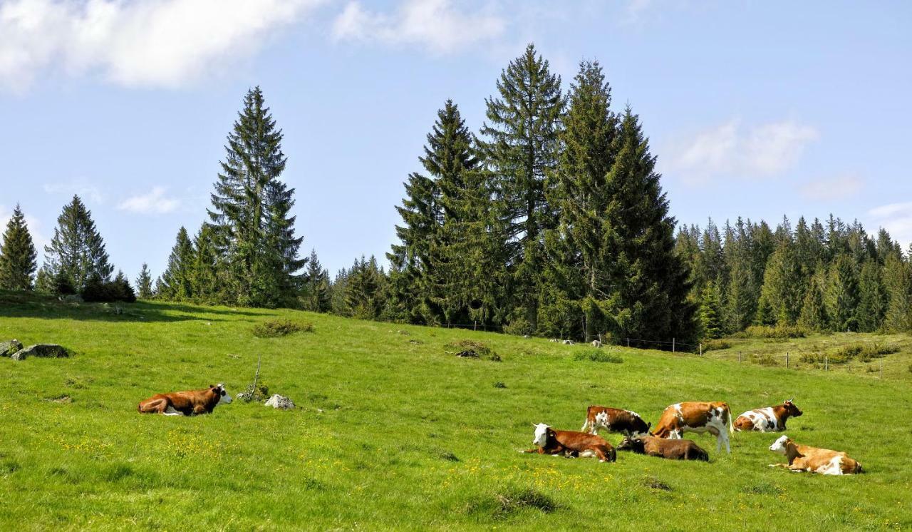 C4 Albmatte-Fewo Sauna, Hallenbad Aussenbecken Massagen Nebenan Menzenschwand Bagian luar foto