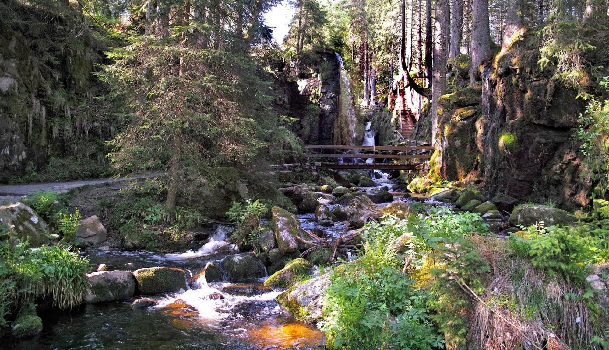 C4 Albmatte-Fewo Sauna, Hallenbad Aussenbecken Massagen Nebenan Menzenschwand Bagian luar foto