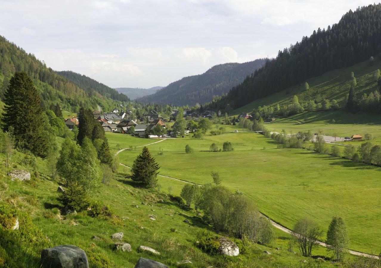 C4 Albmatte-Fewo Sauna, Hallenbad Aussenbecken Massagen Nebenan Menzenschwand Bagian luar foto
