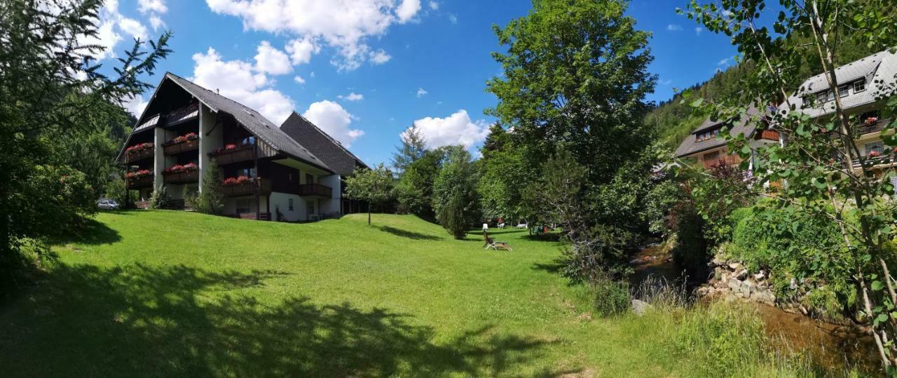 C4 Albmatte-Fewo Sauna, Hallenbad Aussenbecken Massagen Nebenan Menzenschwand Bagian luar foto
