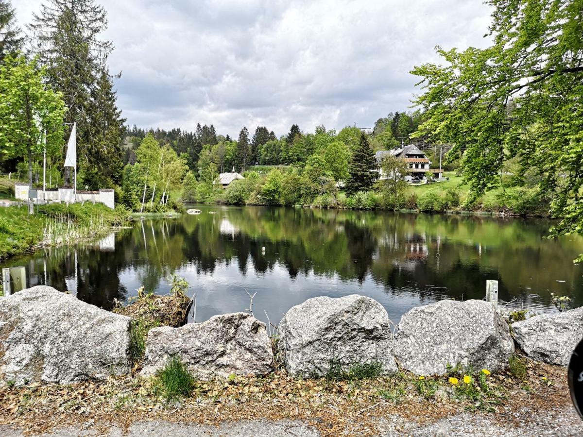 C4 Albmatte-Fewo Sauna, Hallenbad Aussenbecken Massagen Nebenan Menzenschwand Bagian luar foto