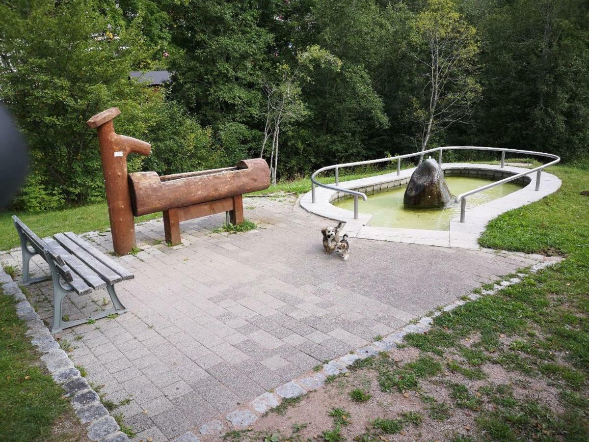 C4 Albmatte-Fewo Sauna, Hallenbad Aussenbecken Massagen Nebenan Menzenschwand Bagian luar foto