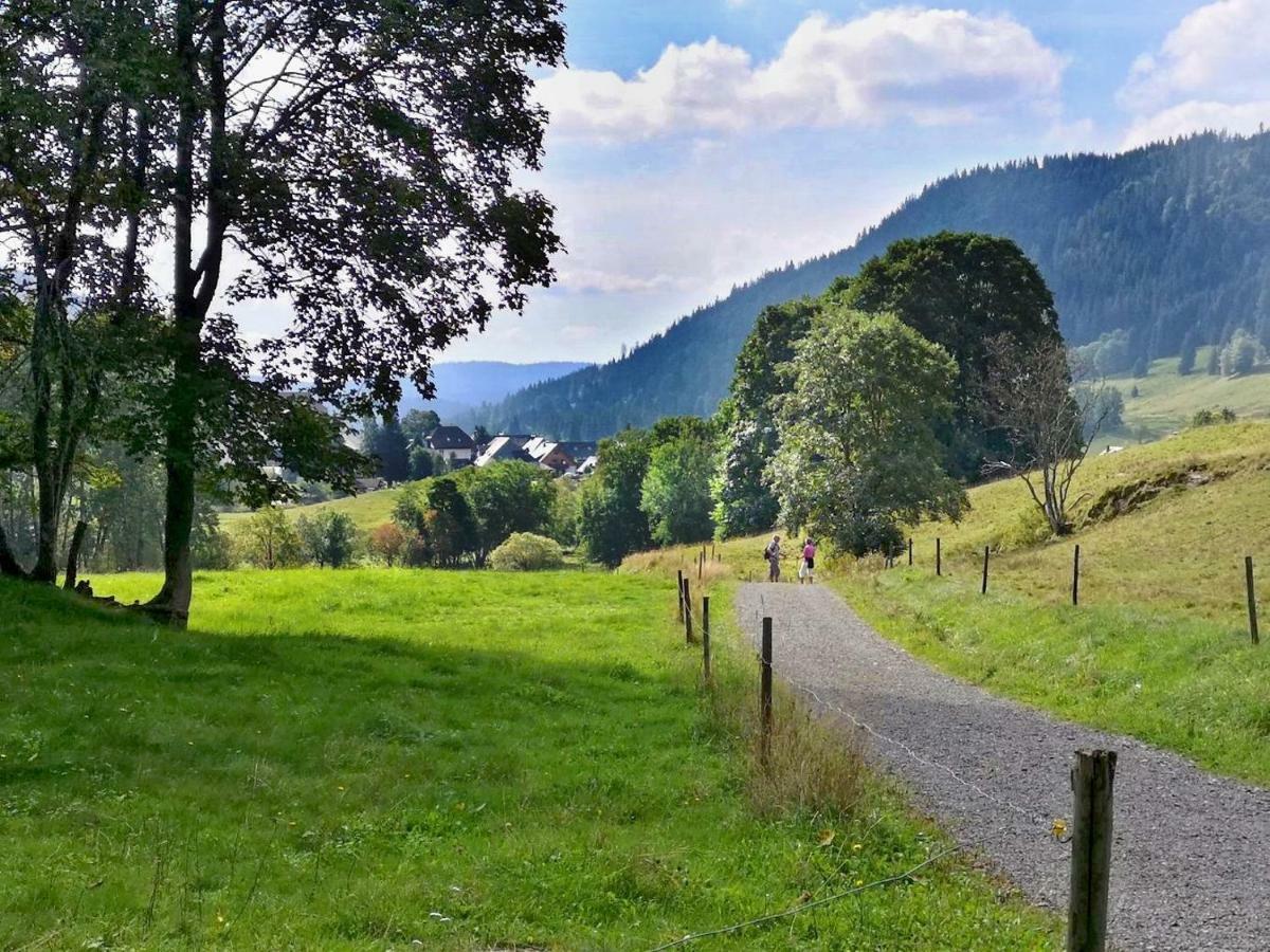 C4 Albmatte-Fewo Sauna, Hallenbad Aussenbecken Massagen Nebenan Menzenschwand Bagian luar foto