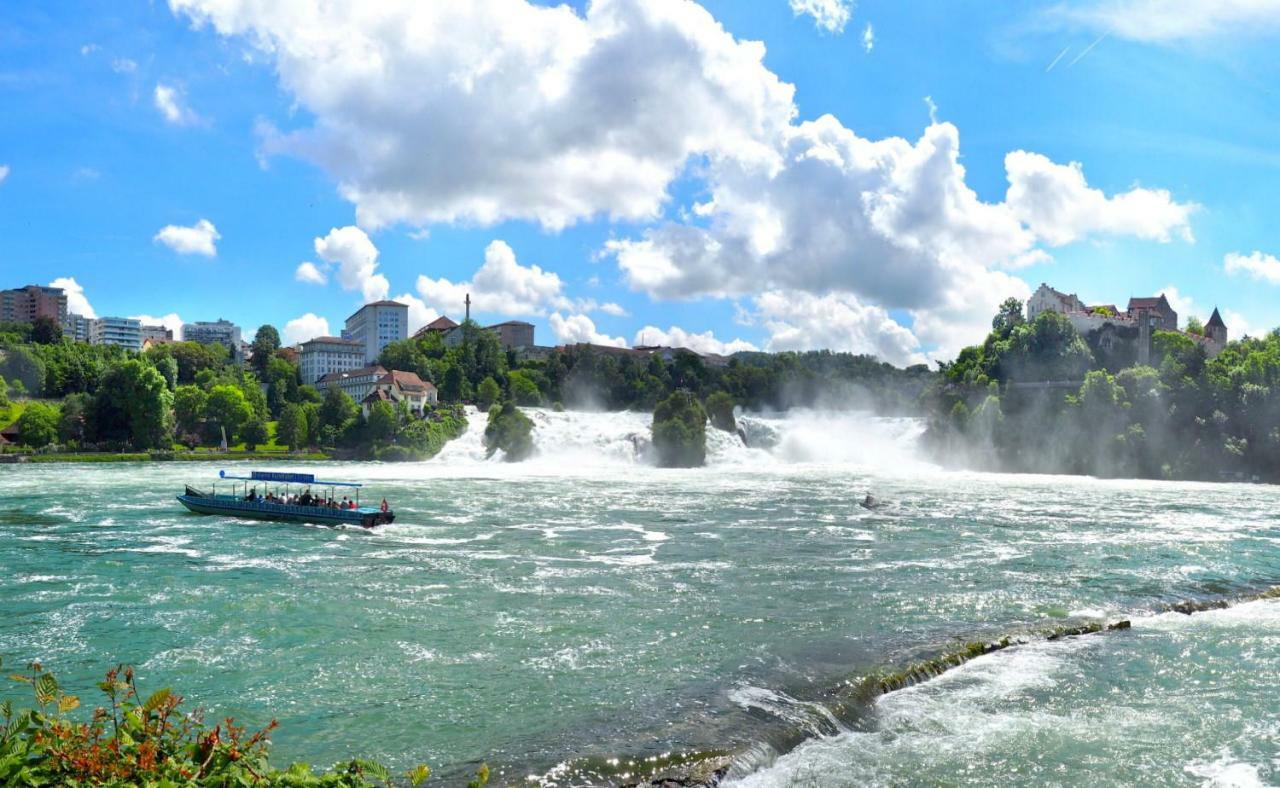 C4 Albmatte-Fewo Sauna, Hallenbad Aussenbecken Massagen Nebenan Menzenschwand Bagian luar foto