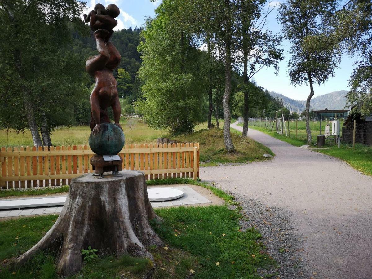 C4 Albmatte-Fewo Sauna, Hallenbad Aussenbecken Massagen Nebenan Menzenschwand Bagian luar foto